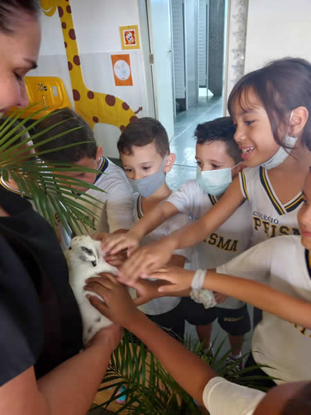 Páscoa 2022
